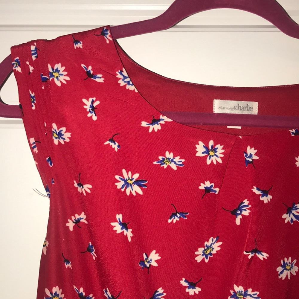 Spring Dress - Picture 2 of 4